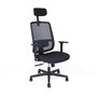 Office Pro / Chairs / Canto sp - (650x620x1264)